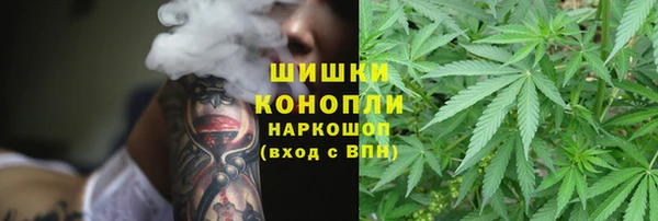 гидропоника Богородск