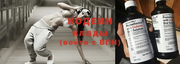 метадон Богданович