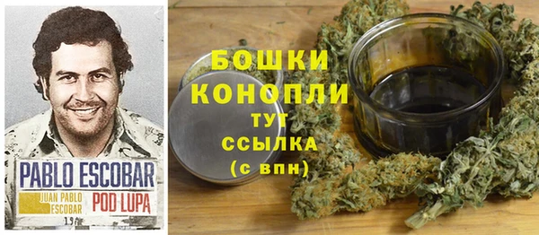 метадон Богданович