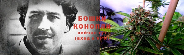 прущий лед Богородицк